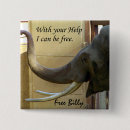 Search for mammals square badges Elephants