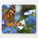 Search for painted lady mouse mats Insect