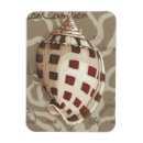 Search for seaside magnets Coastal