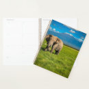 Search for reserves office supplies African elephant