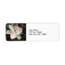 Search for magnolia tree return address labels White