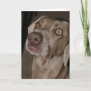 Search for attentive cards Animal