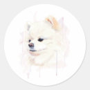 Search for pomeranian stickers Cute