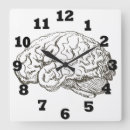 Search for brain clocks Medicine
