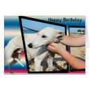 Search for whippet cards Animal