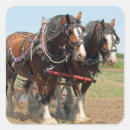 Search for clydesdale horses stickers Draught horse