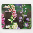 Search for nancy mouse mats Nobody