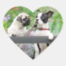 Search for two dogs stickers Pug