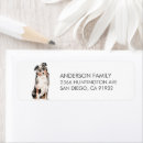 Search for australian shepherd return address labels Dog
