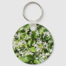Search for jasmine key rings Flowers