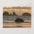 Search for erosion postcards Coast