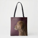 Search for golden retriever bags Dog