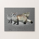 Search for ferret puzzles Pet