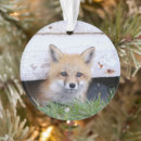 Search for newfoundland christmas tree decorations Nature