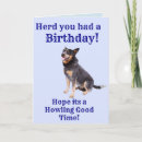 Search for herding cards Dog