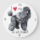 Search for miniature clocks Poodle
