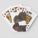 Search for chocolate playing cards Animal