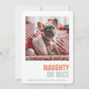 Search for naughty or nice cards Cat
