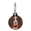 Search for halloween dog supplies Pumpkin
