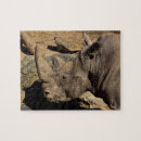 Search for rhino puzzles Wildlife photography