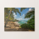 Search for maui puzzles Coconut palm tree