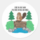 Search for projects cards invites Funny