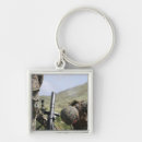 Search for bombs key rings Artillery