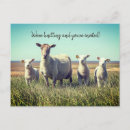 Search for yarn postcards Fibre arts