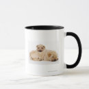 Search for purebred mugs Colour image