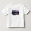 Search for landforms tshirts Coast
