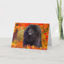 Search for autumn art cards Dog