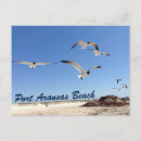 Search for pretty bird postcards Nature