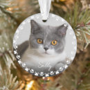Search for cat in frame christmas tree decorations Cute