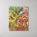 Search for autumn trees canvas prints Colourful