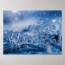 Search for ice crystals posters Winter