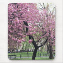 Search for cherry blossom tree mouse mats Blossoms