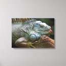 Search for cute lizard posters Iguana