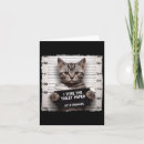 Search for funny kitty image cards Cat lovers