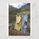Search for clothesline postcards Vintage