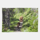 Search for brown bear tea towels Mammal