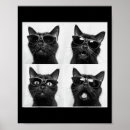 Search for hanukkah menorah posters Funny