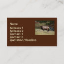 Search for elk business cards Animals