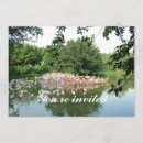 Search for flocking invitations Party