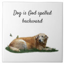 Search for labrador tiles Pet