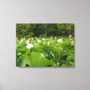 Search for lotus flower canvas prints Pink