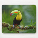 Search for tropical birds mouse mats Colourful