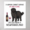 Search for newfoundland dog posters Puppy