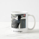 Search for magpie mugs Wildlife