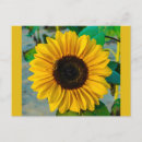 Search for friend bees postcards Yellow