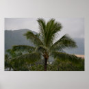 Search for kauai posters Photography